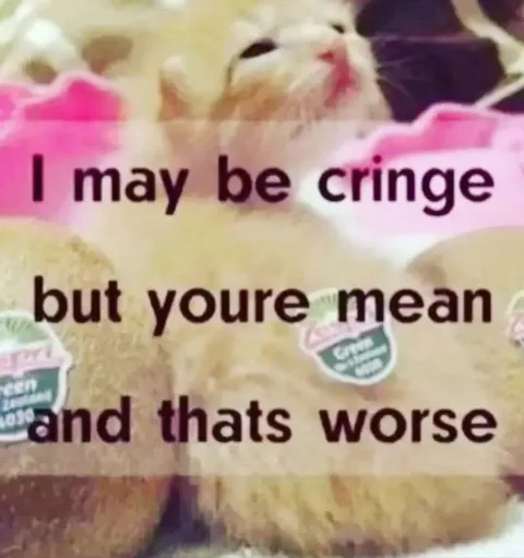 I May Be Cringe Cat