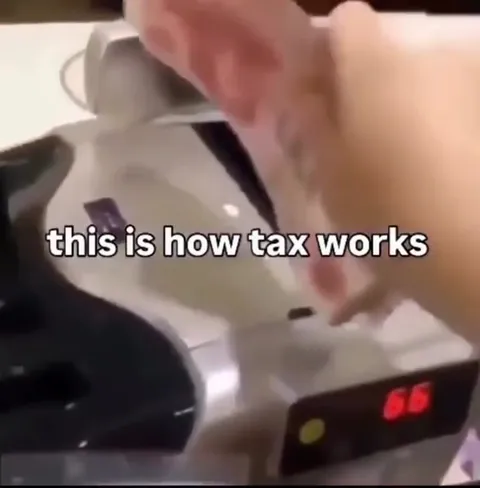 This Is How Tax Works Cat