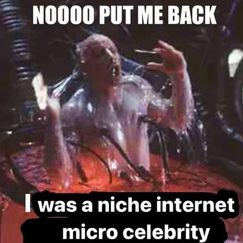 Niche Internet Micro Celebrity