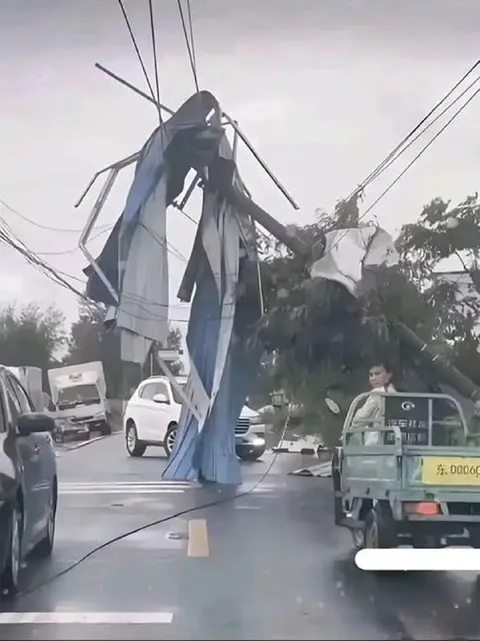 Гигант запутался в проводах