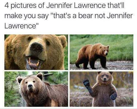 Jennifer Lawrence Bear Lookalikes