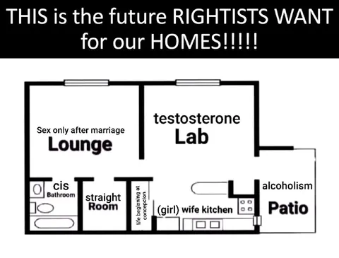 The Future Rightists Want