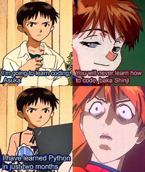 Shinji Learns Python