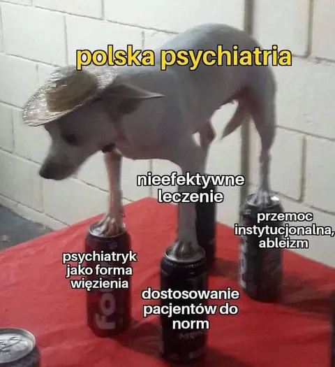Polska psychiatria na puszkach
