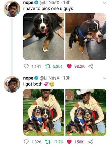 I Have to Pick One Dogs