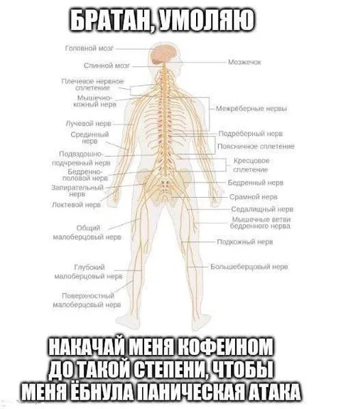 Кофеин до панической атаки