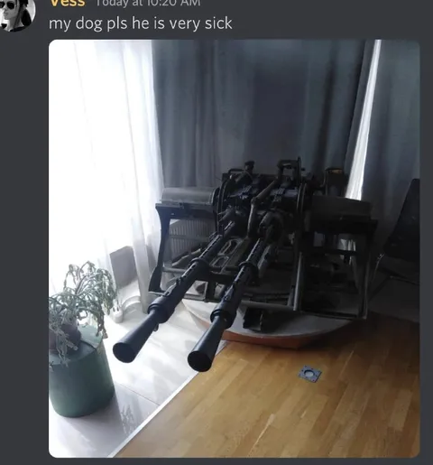 My Dog Is Very Sick