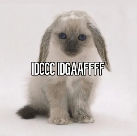 Confused Bunny Gibberish