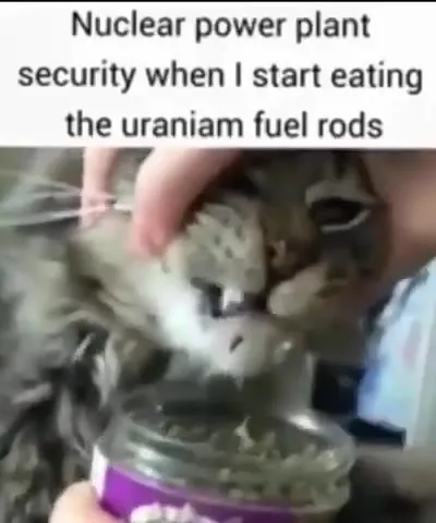 Nuclear Plant Security Cat