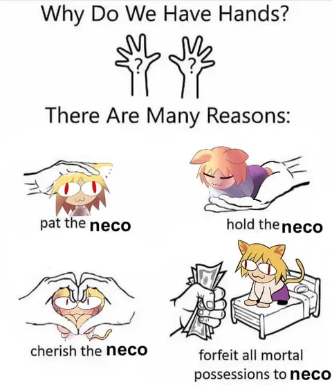 Why Do We Have Hands?