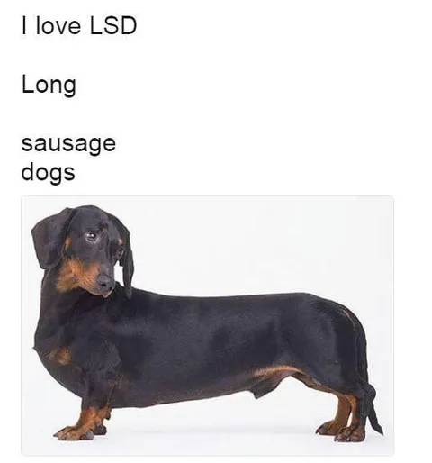 I Love Long Sausage Dogs