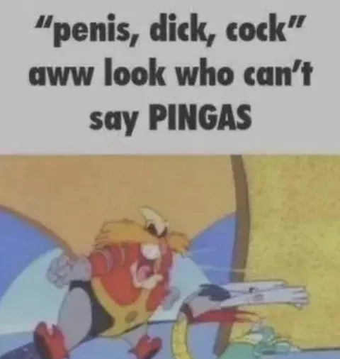 Can’t Say PINGAS