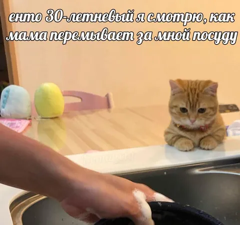 Тридцатилетний я и мама