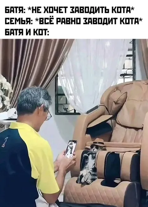 Батя и кот в массажном кресле