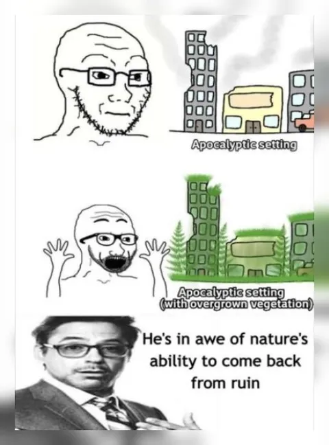 Nature Comes Back From Ruin