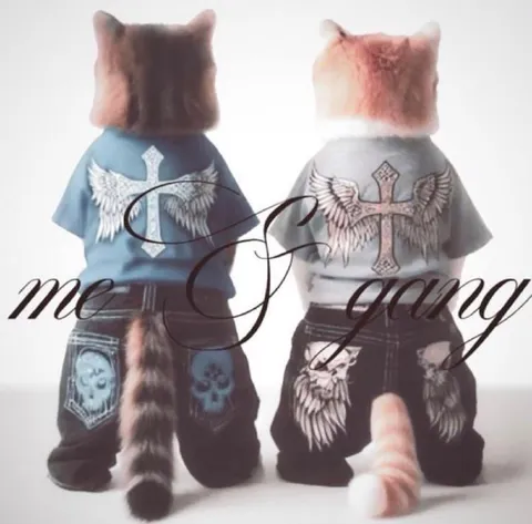 Cats in Matching Gang Outfits
