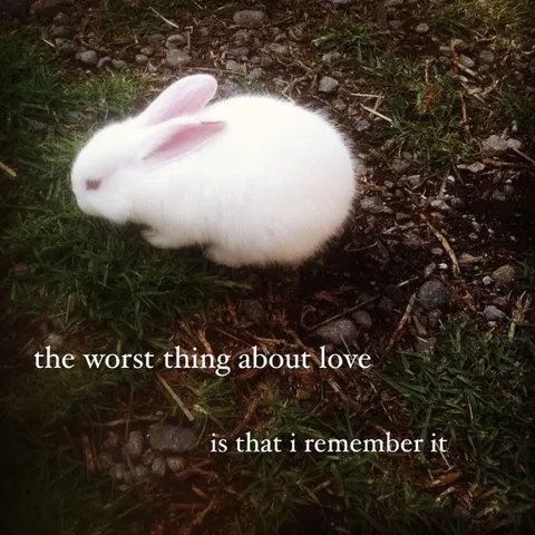 The Worst Thing About Love
