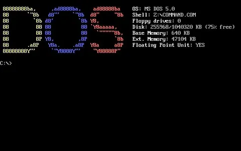 Fake MS-DOS System Information