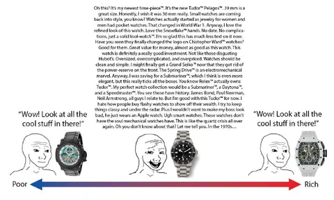 Poor Versus Rich Watch Taste