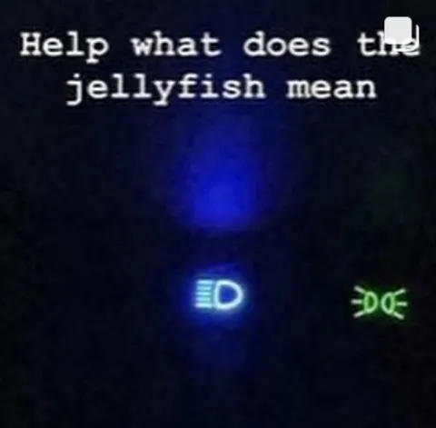 What Does the Jellyfish Mean