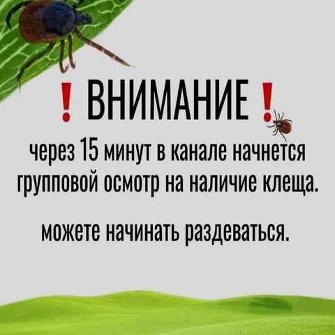 Групповой осмотр на клеща