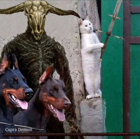 Кот пытается сбежать от демона