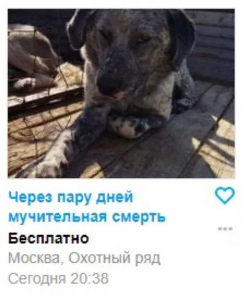 Мучительная смерть бесплатно