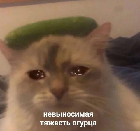Невыносимая тяжесть огурца