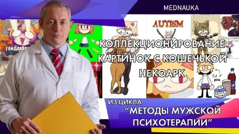 Коллекционирование кошачьих картинок