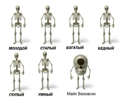 Скелеты разных типов и Майк Вазовски