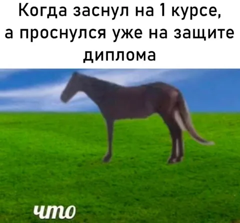 Проснулся на защите диплома