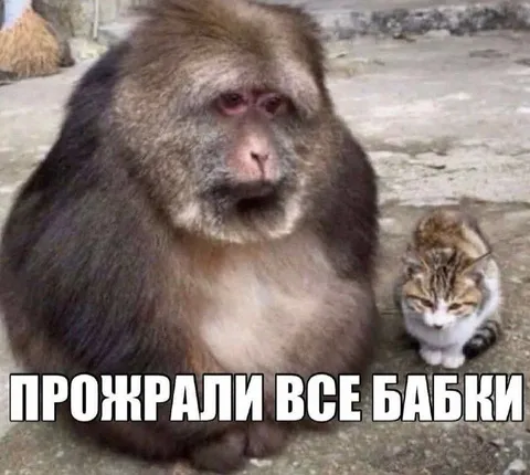 Прожрали все бабки