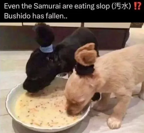 Samurai Eating Slop