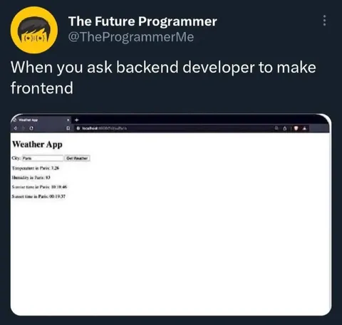 Backend Developer Makes Frontend