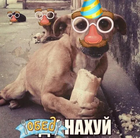 Обед нахуй с мопсом