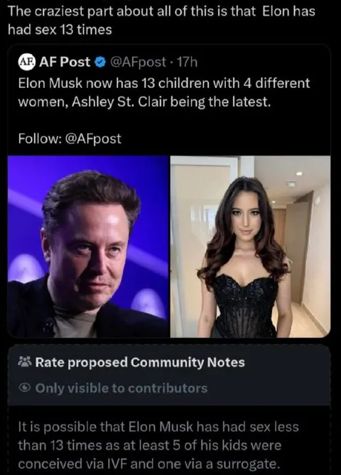 Elon Musk Has Had Sex 13 Times