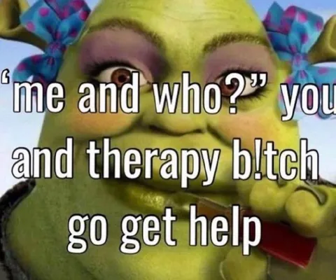 Shrek Needs Therapy