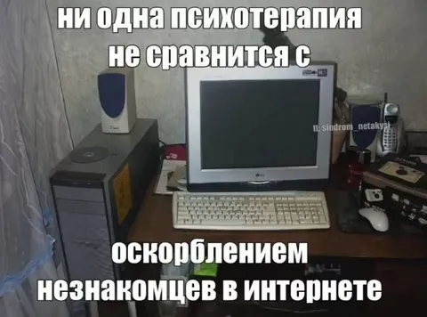 Оскорбления незнакомцев в интернете