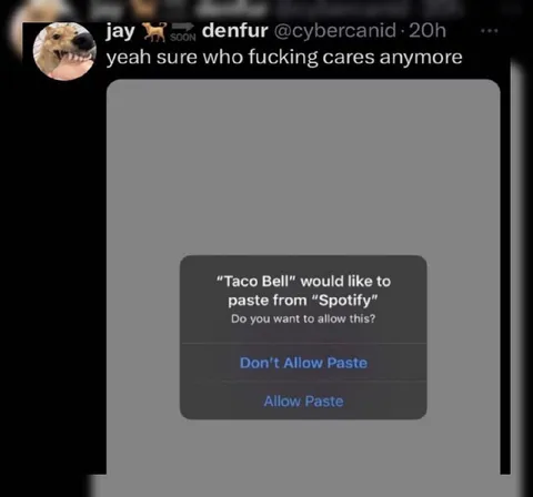 Who Cares About Paste Anymore