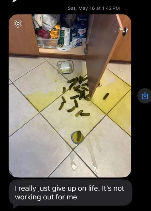 Pickles Give Up on Life