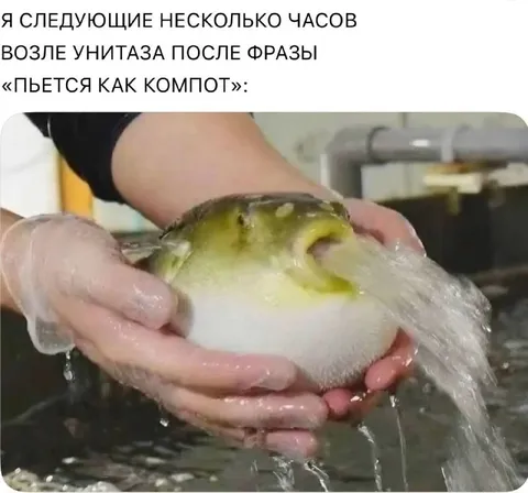 Рыба после «пьется как компот»
