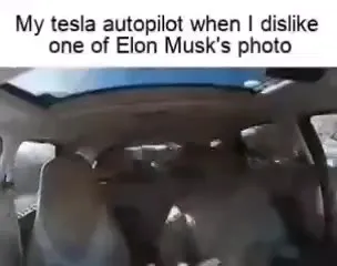Tesla Autopilot Gets Revenge