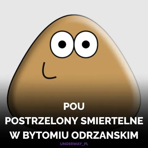 Pou postrzelony śmiertelnie