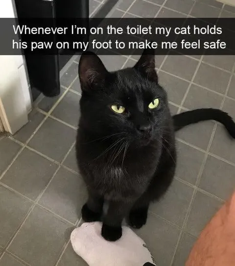 Cat Holds Paw on Foot