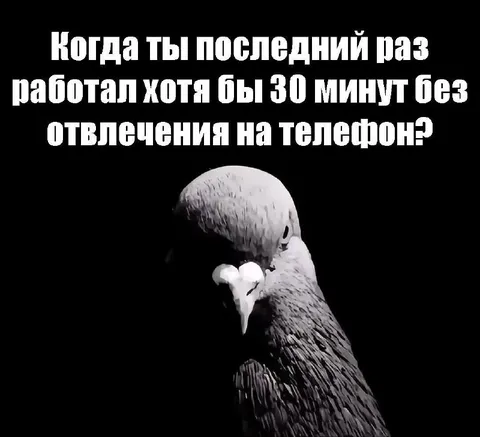 Последние 30 минут без телефона