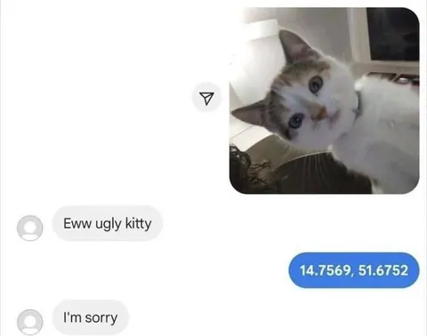 Ugly Kitty Coordinates