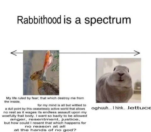Rabbithood Is a Spectrum