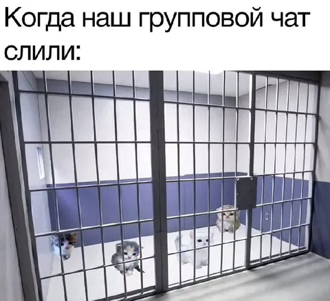 Когда слили групповой чат