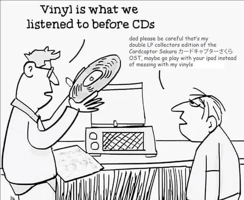 Vinyl Before CDs