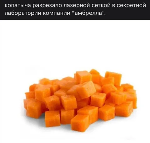 Копатыча разрезало лазерной сеткой